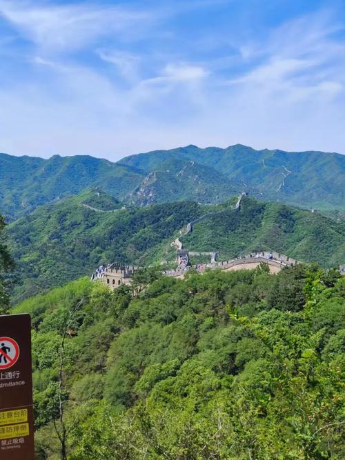 帶出境旅游業務許可的旅行社轉讓